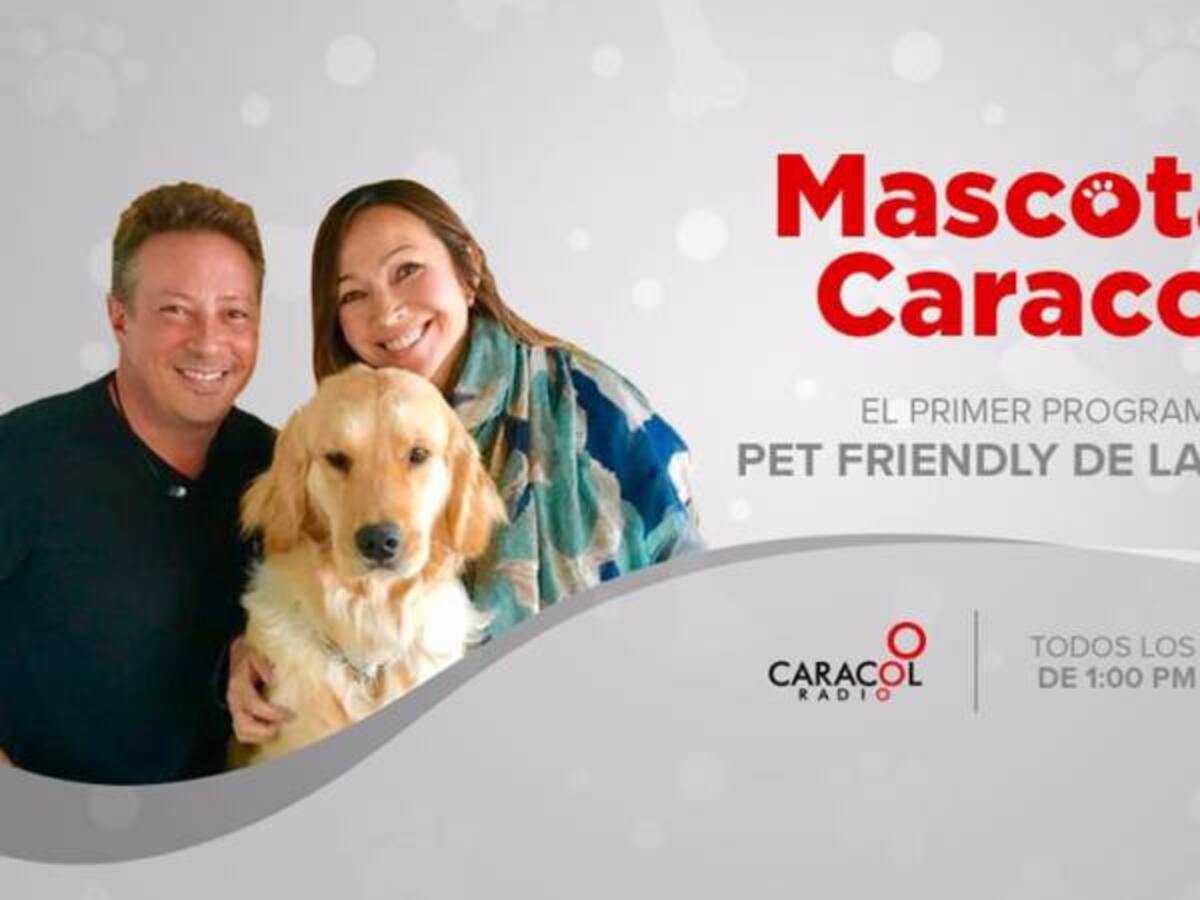 Mascotas rescatistas, toxoplasmosis y esterilización de conejos