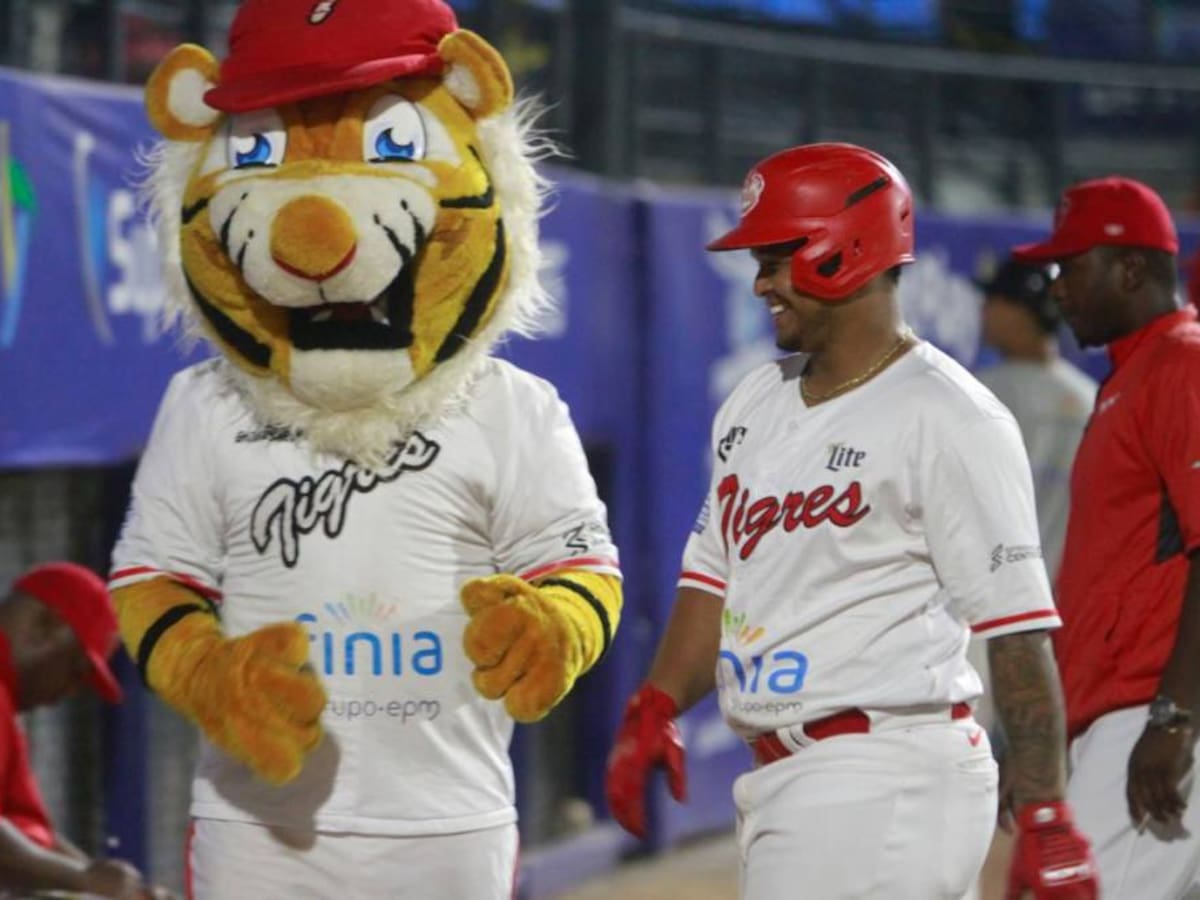 Recomendaciones para los partidos que restan de la final del béisbol colombiano