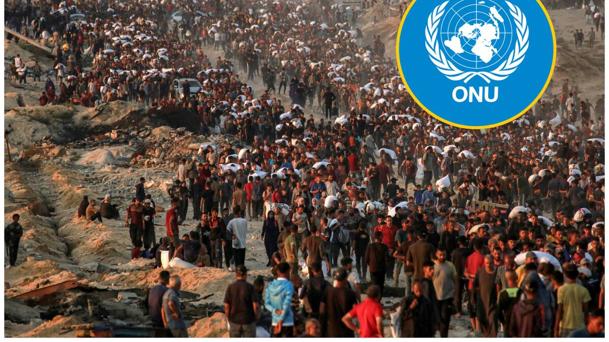 El Consejo de Seguridad de la ONU se reunirá de urgencia el domingo para abordar situación en Gaza
