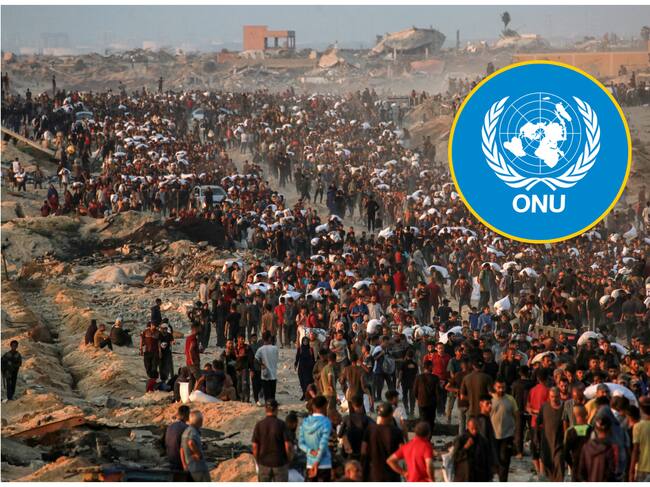 ONU reveló que más de 1.370 palestinos murieron en Gaza en entregas de ayuda desde finales de mayo. Foto: AFP/ ONU.