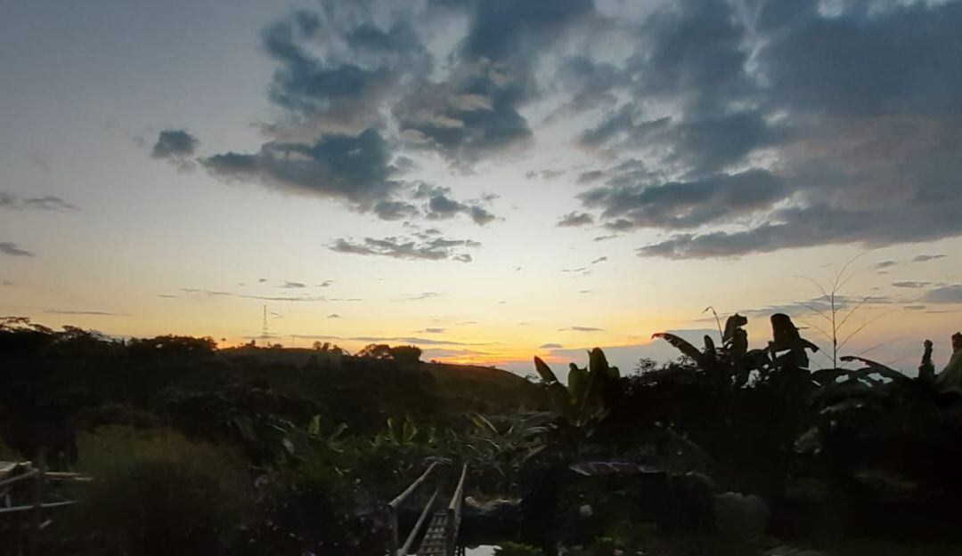 Desde la zona rural de Filandia, Quindío