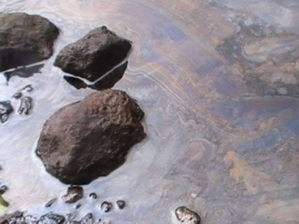 Ocensa restableció operación en zona de Boyacá donde se presentó derrame de crudo
