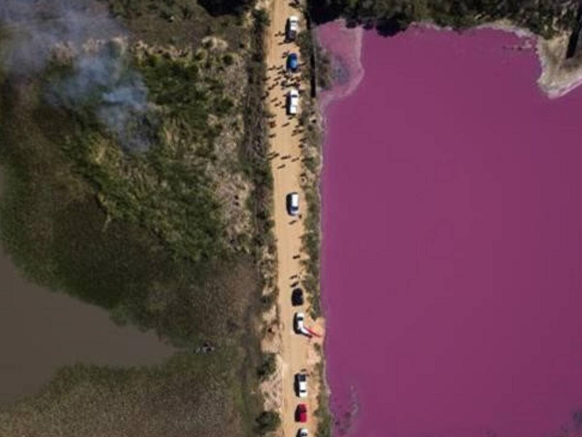 La impactante foto que salvó la laguna Cerro en Paraguay