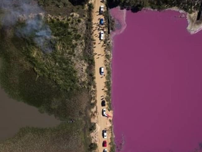 La impactante foto que salvó la laguna Cerro en Paraguay