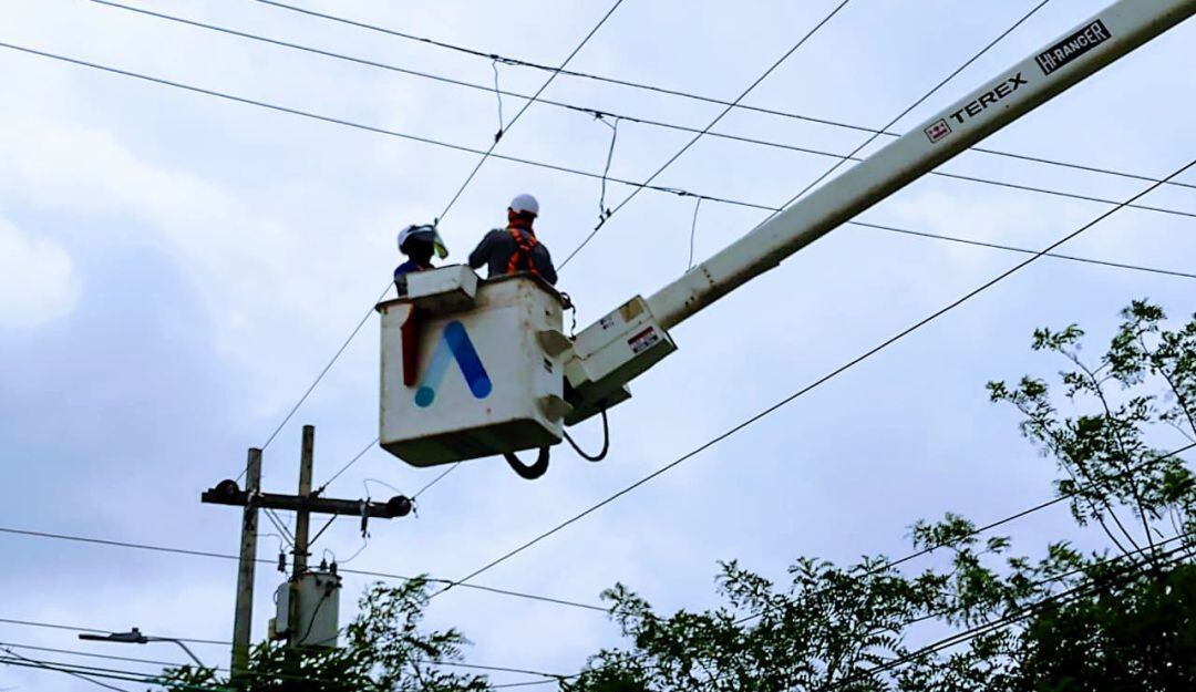 Labores de mantenimiento 