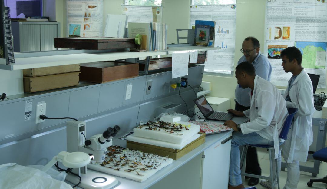 Investigación