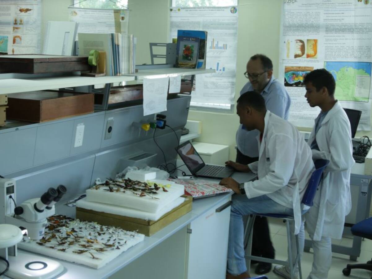 Investigadores de la UDEC realizarán pasantía internacionales