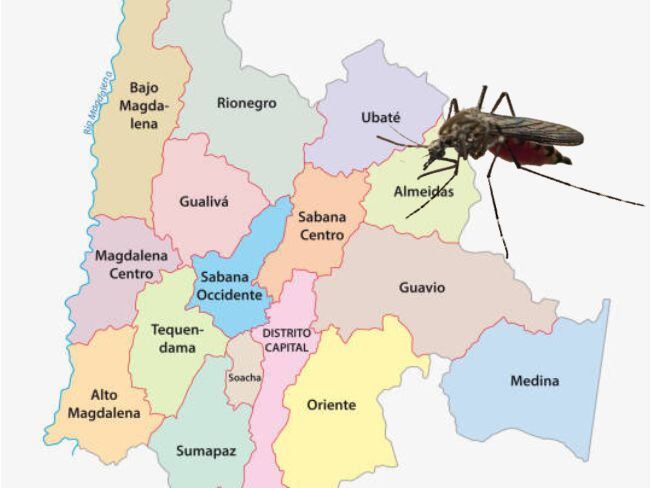 Primer caso de fiebre amarilla en Cundinamarca. Foto: Getty Images/Caracol Radio.