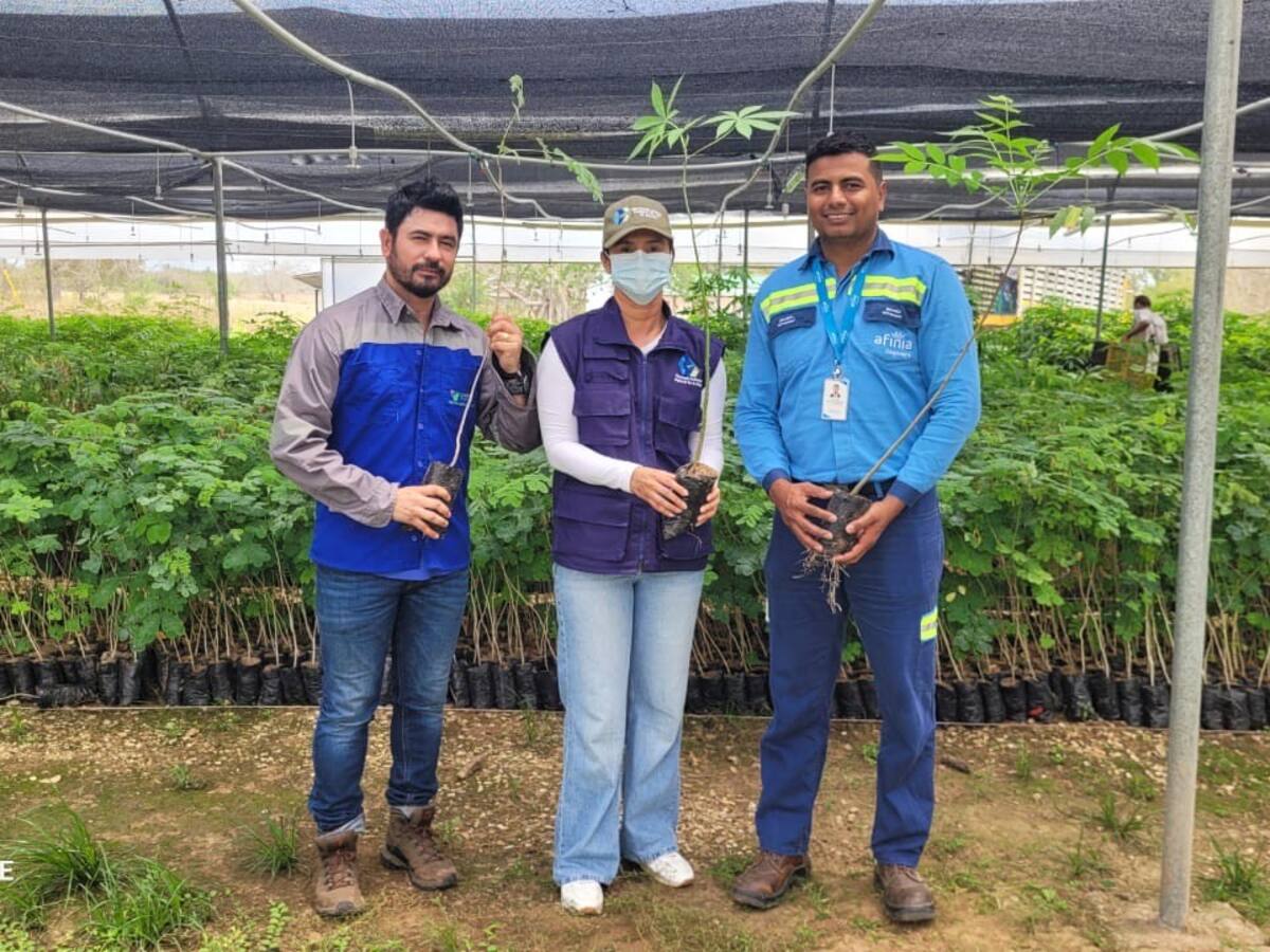 Afinia entregó árboles a Corporación Autónoma Regional Sur de Bolívar para restauración ecológica