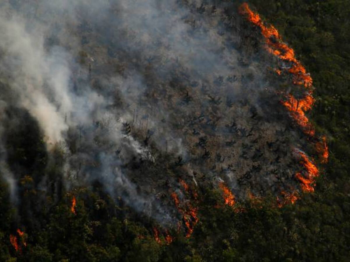 ¿Cómo prevenir los incendios forestales?