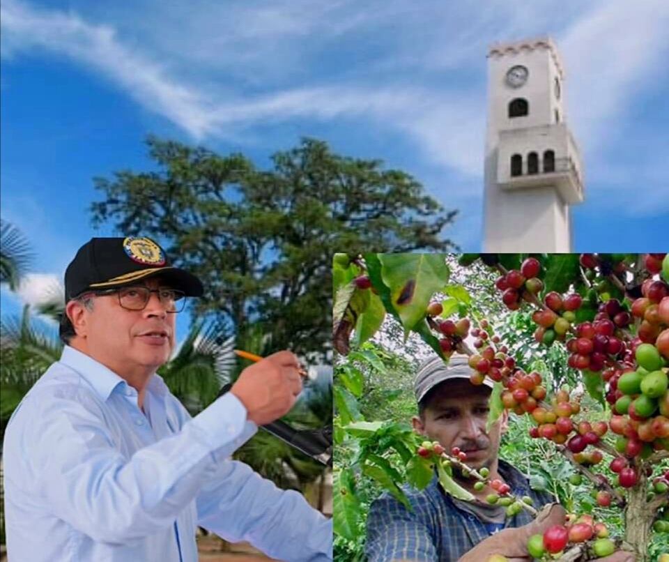 Durante su mandato más de 330 mil caficultores del país tendrán el título de propiedad sobre sus tierras.