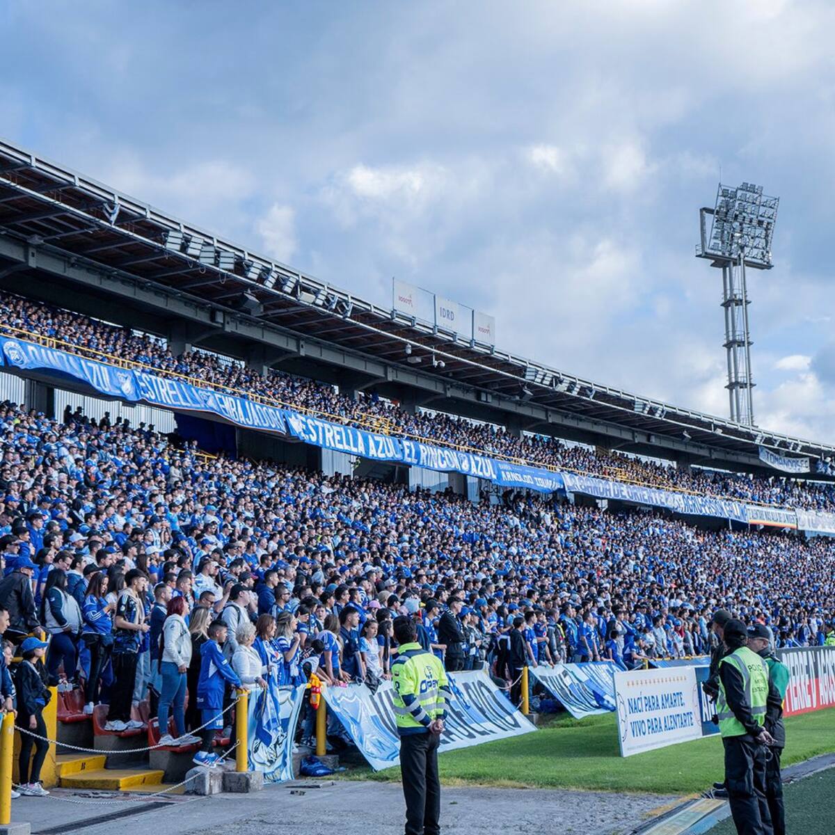 Karol G y Silvestre Dangond, dolores de cabeza para Millonarios en Copa Libertadores