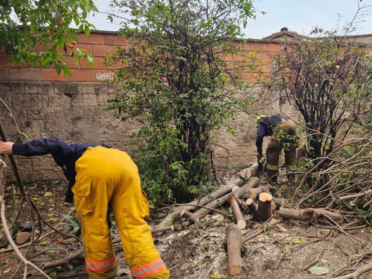 Tras casi un mes de intensa sequía volvió a llover en Medellín: hubo emergencias