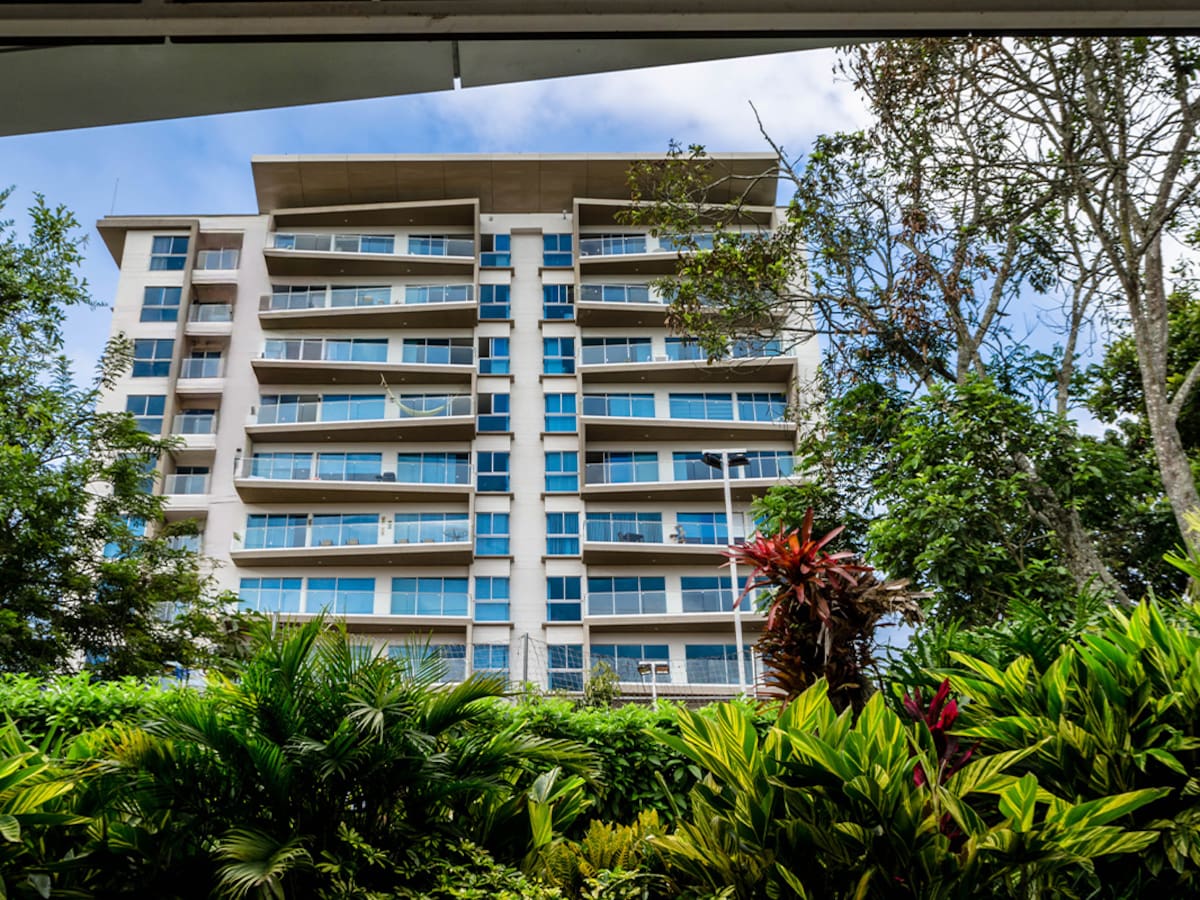 La constructora que está cambiando la forma de vivir con naturaleza en Ibagué