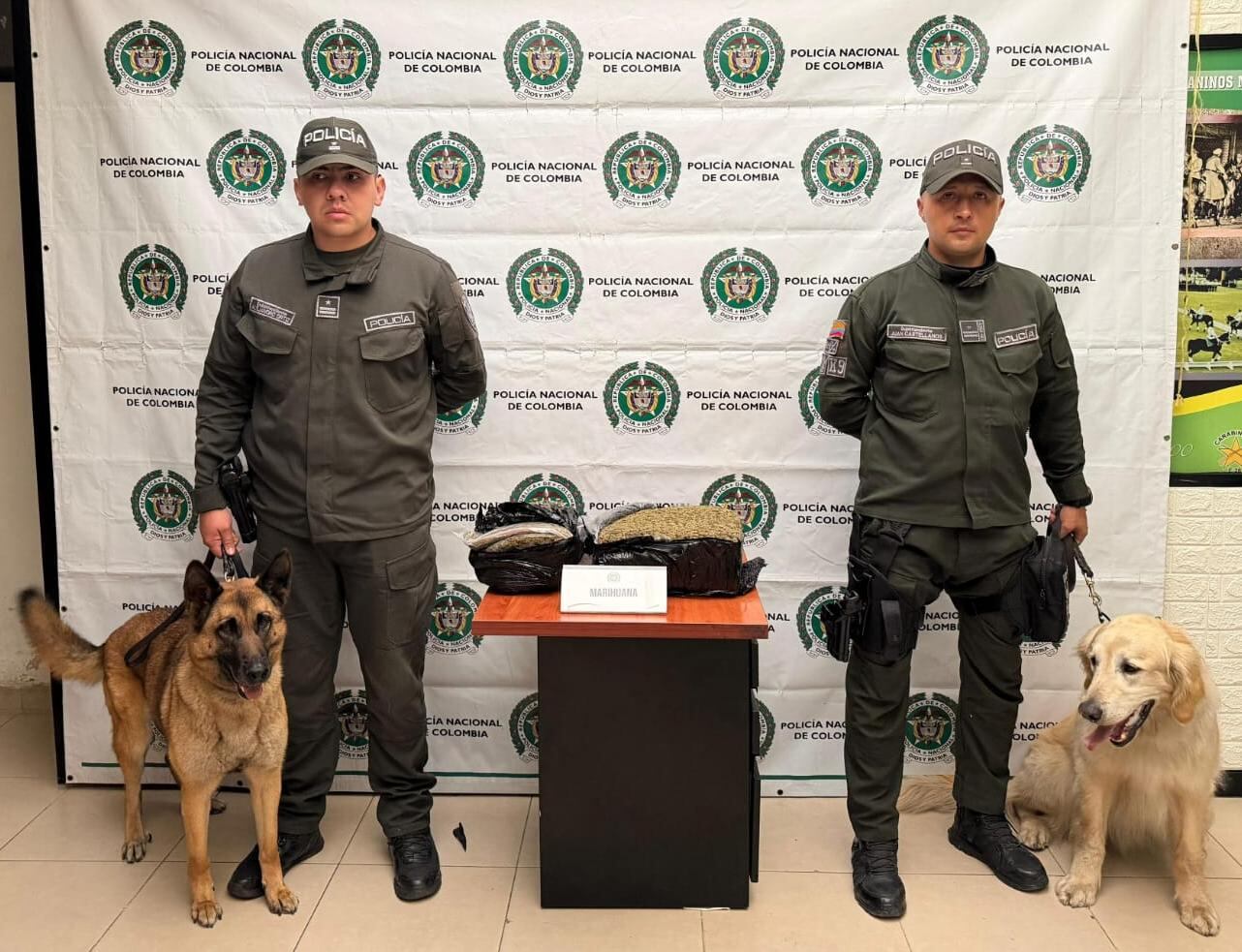 Perros antinarcóticos frustraron el envío de más de 11 kilos de marihuana