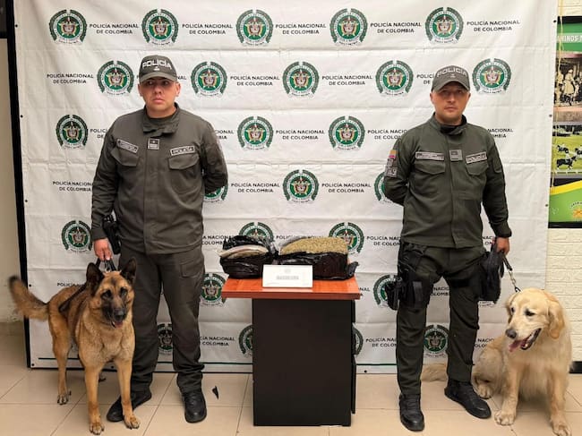 Perros antinarcóticos frustraron el envío de más de 11 kilos de marihuana