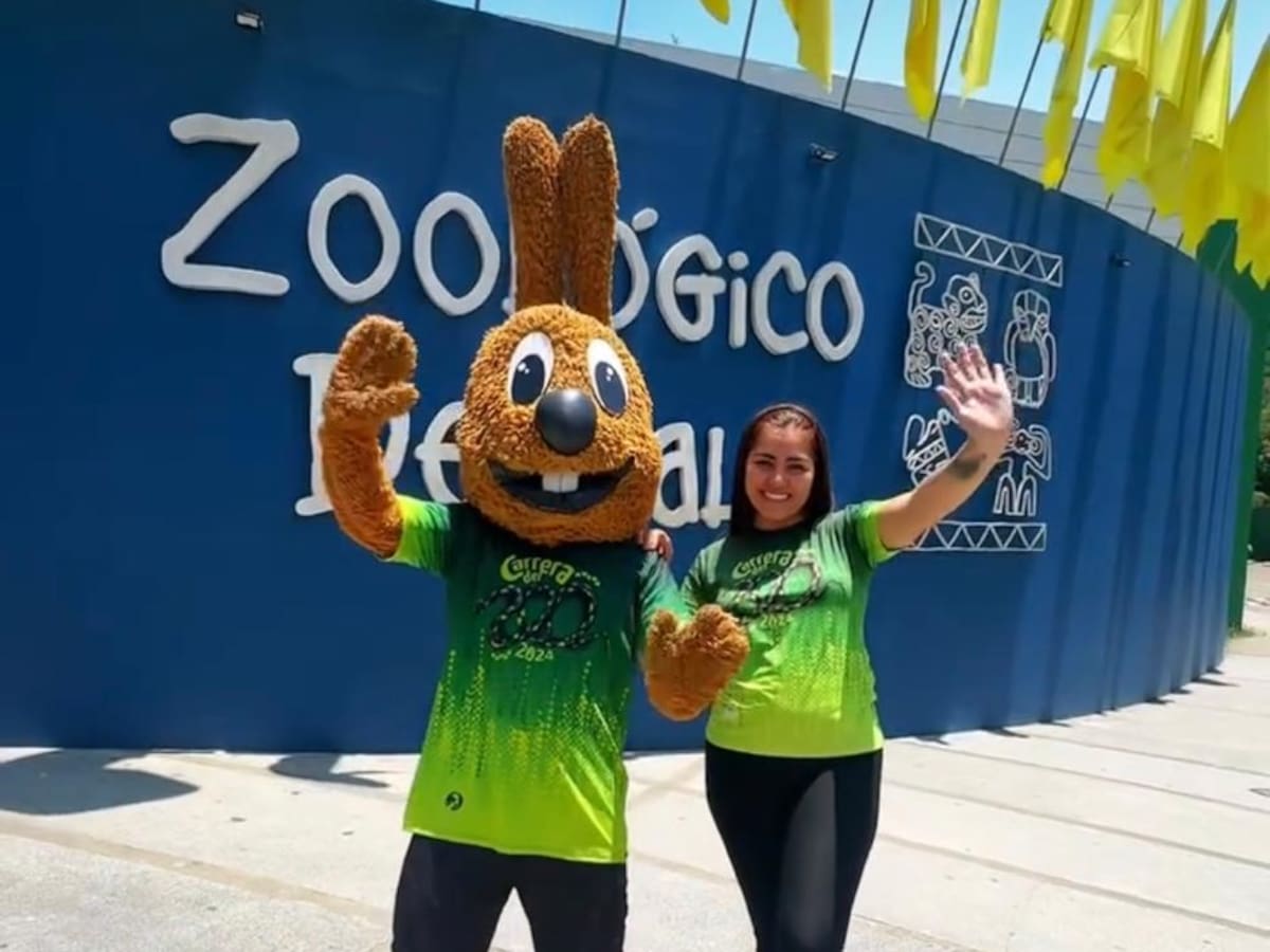 ¿Qué hacer y qué animales se encuentran en el zoológico de Cali?