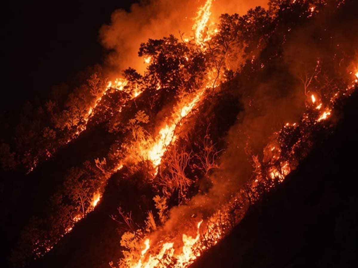 Incendio forestal en Santa Fe de Antioquia, permanece activo y es atendido por múltiples organismos