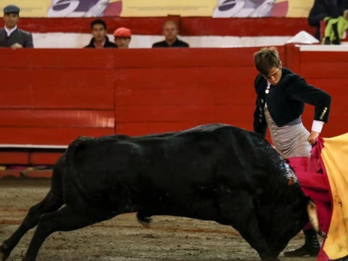 Proyecto contra corridas de toros podría ser aprobado en Cámara la próxima semana