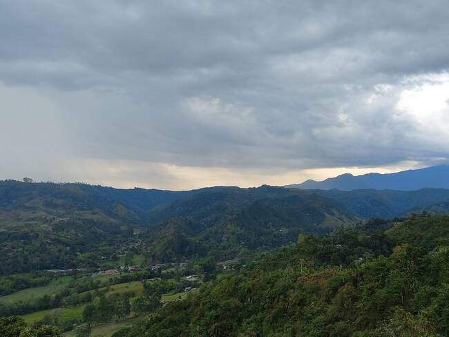 Presidente de la junta directiva nacional de ANATO, Diego Vásquez