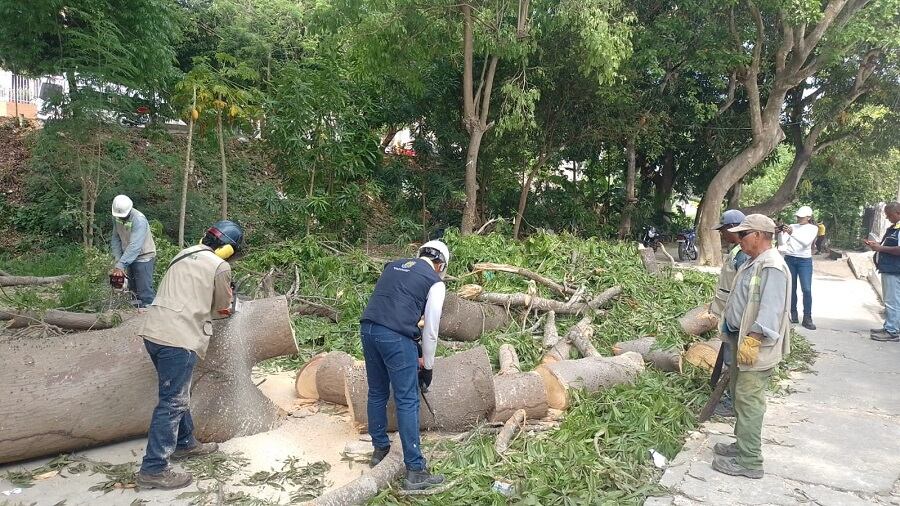 Alcaldía de Cartagena