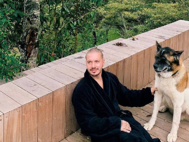 Critican a J Balvin por pintarle la cola a su perro