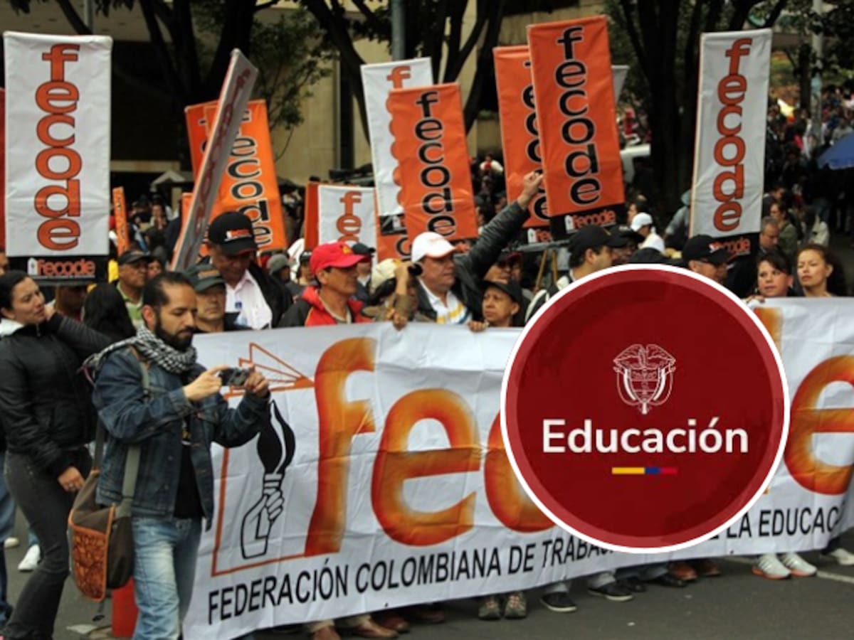 ¿Por qué pidió información sobre docentes del paro? Mineducación responde y descarta sanciones