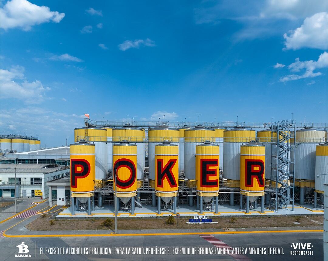 Bavaria y su apoyo al progreso del Valle del Cauca: trabajo y programa educativo