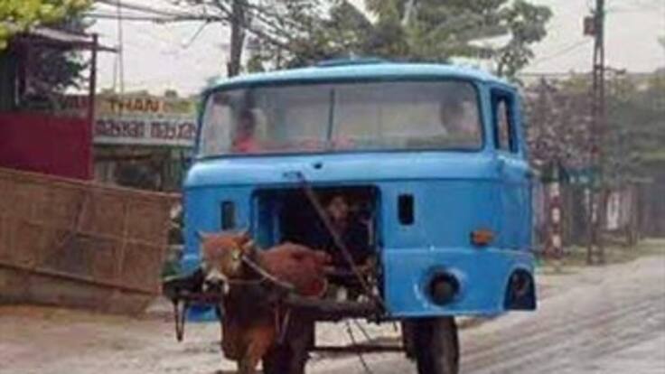 Marcha a favor de los vehículos de tracción animal