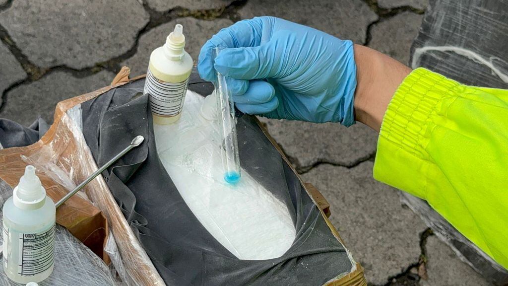 Incautación de drogas. (Anadolu via Getty Images)