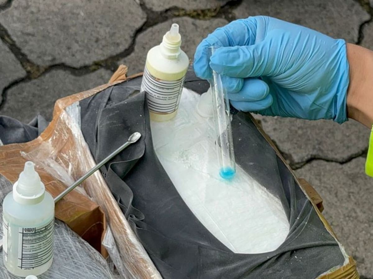 Más de 700 toneladas de droga incautadas en lo que va del año: Comandante de las FFMM