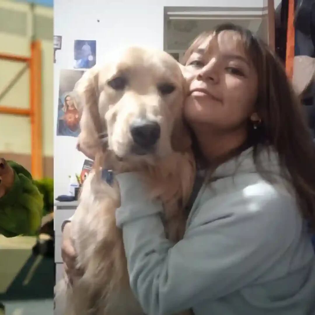 Se cumplen 30 días desde la desaparición de Ayelen Sofía en Bogotá.