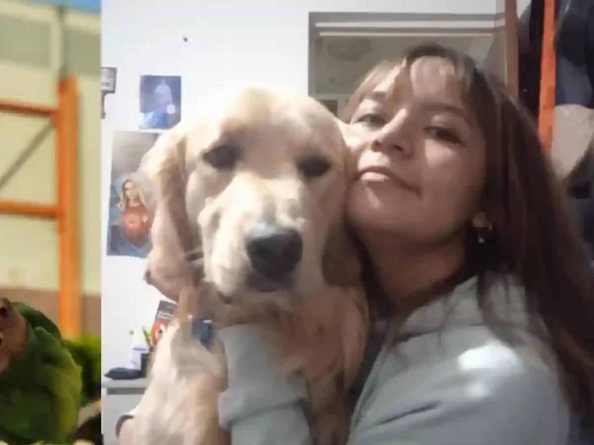 30 días de la desaparición de Ayelen Sofía: “No siento que tengamos apoyo”, madre de la menor