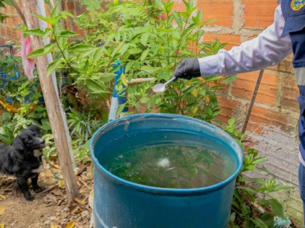 MinSalud enviará expertos a Cartagena para fortalecer diagnóstico de dengue