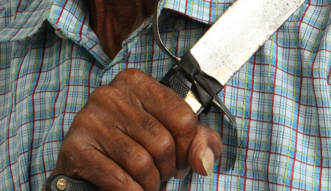 Imagen de referencia