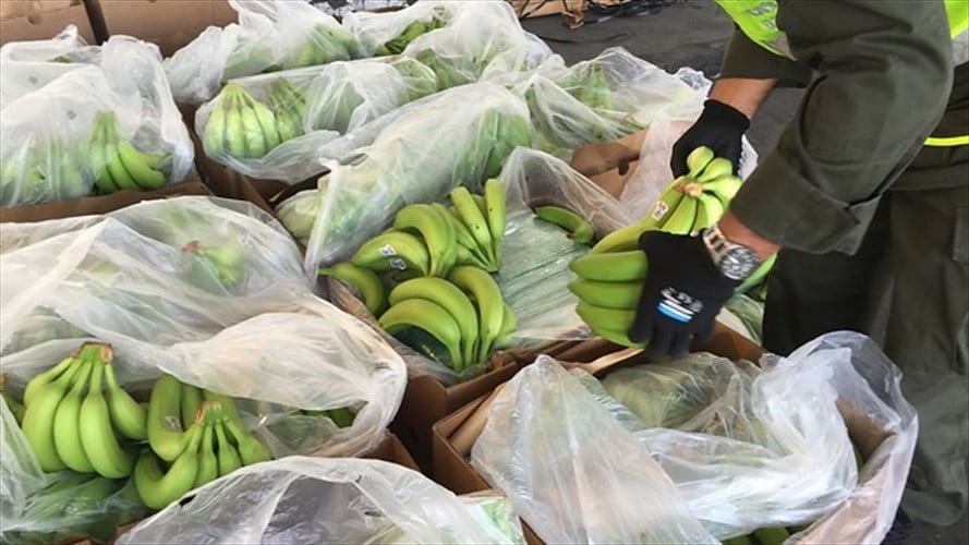 Imagen de referencia. Foto: Colprensa