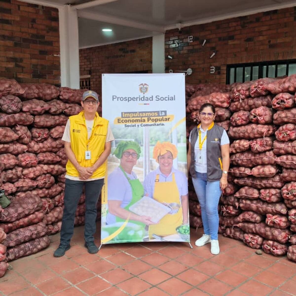 Prosperidad Social inició entrega de papa a más de 275.000 hogares vulnerables