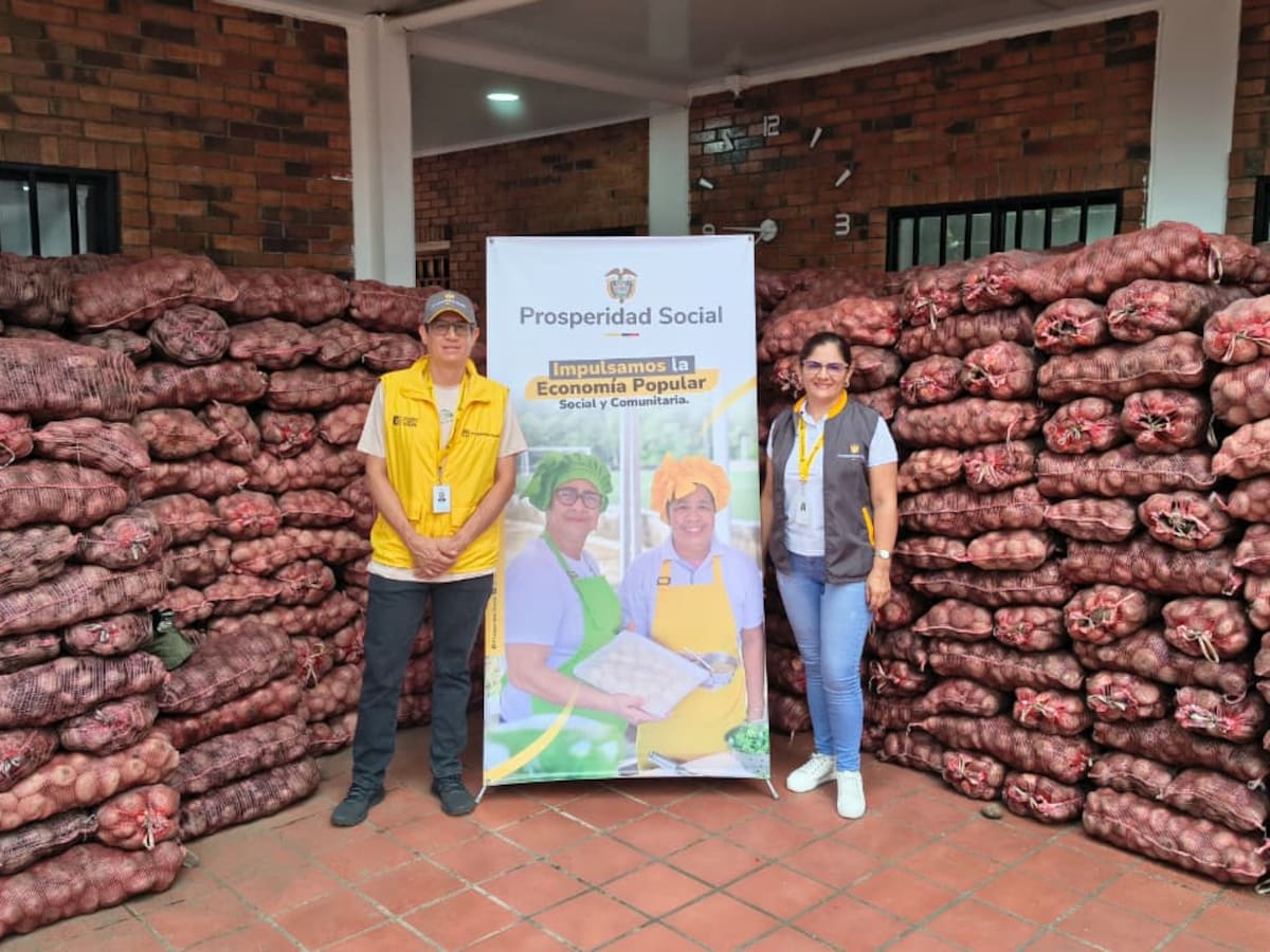 Prosperidad Social inició entrega de papa a más de 275.000 hogares vulnerables