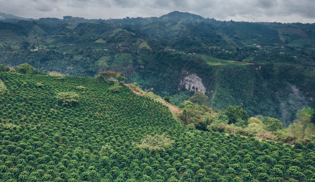 Agricultura en el Huila