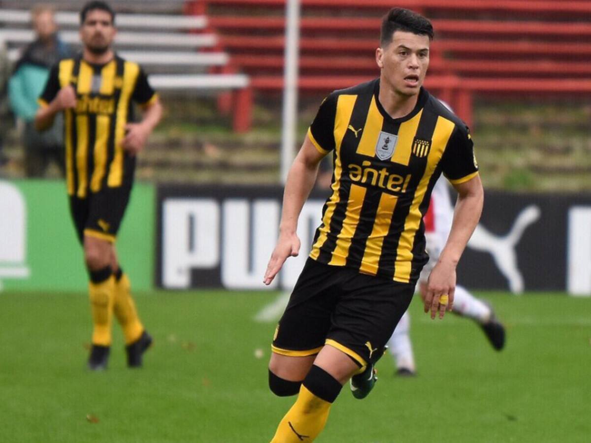 "Pelusso me recomendó para Deportivo Cali": Carlos Rodríguez