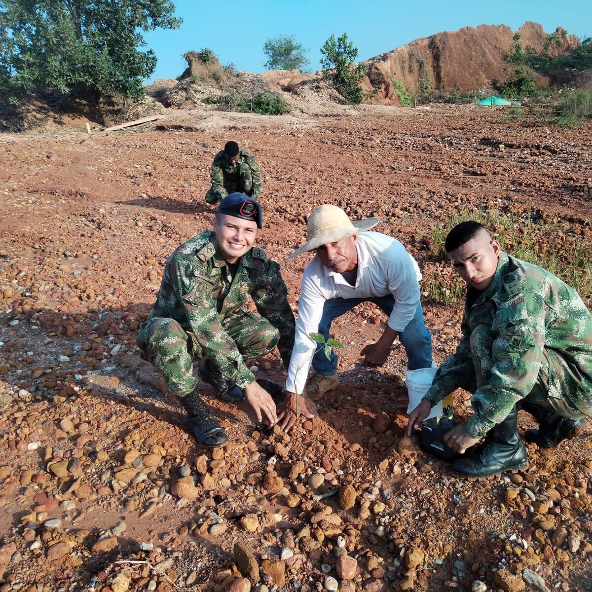 Más de 25 mil árboles fueron plantados por el Ejército Nacional en Cáceres, Antioquia