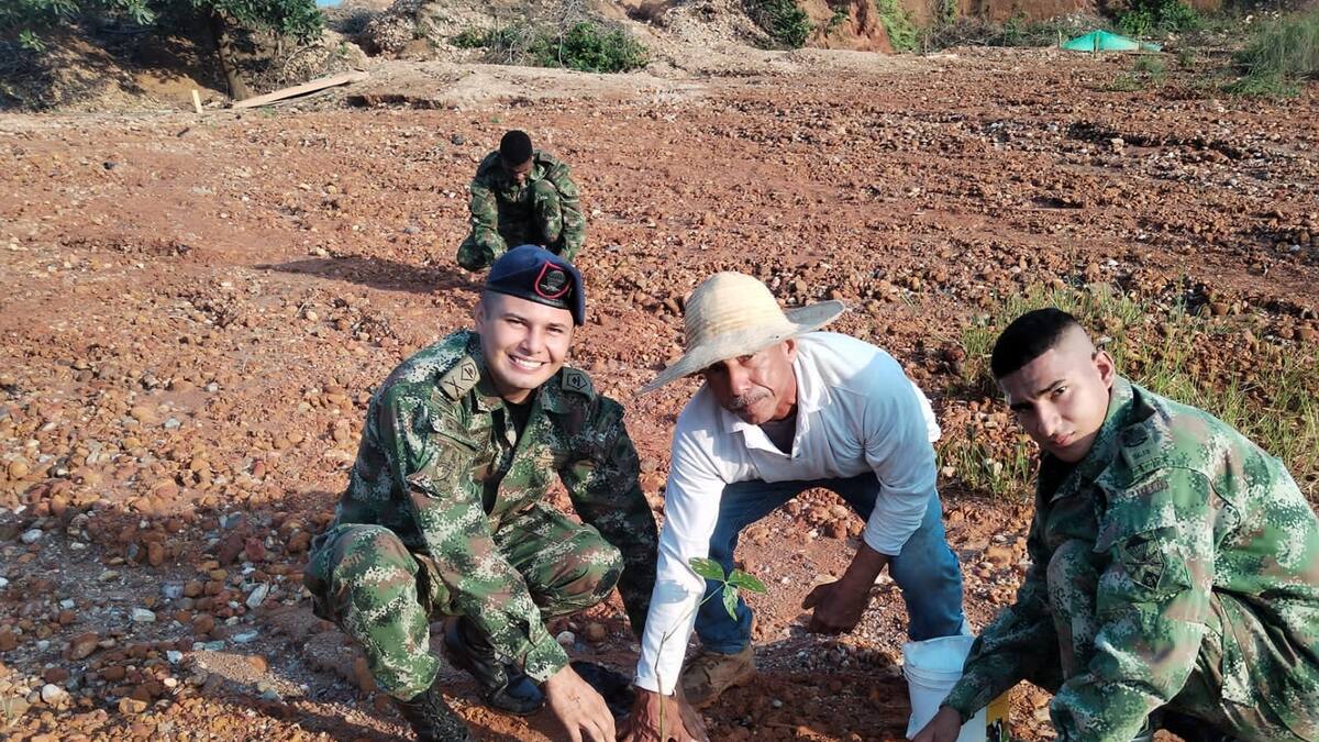 Más de 25 mil árboles fueron plantados por el Ejército Nacional en Cáceres, Antioquia