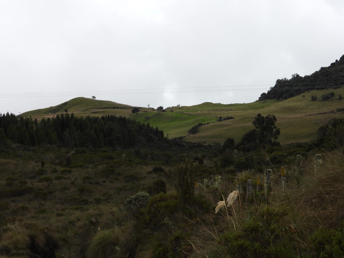 La Reserva Natural está ubicada en el municipio de Murillo, Tolima
