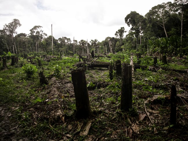 Deforestación en el Amazonas, Colombia, el 31 de marzo de 2023. (Foto de Juancho Torres/Agencia Anadolu vía Getty Images)