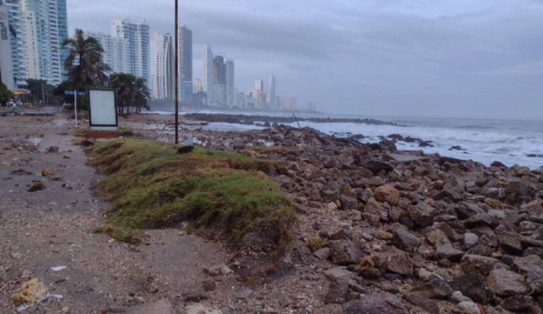 Se espera que el proponente seleccionado se acoja a las estipulaciones y normas contenidas en la licitación