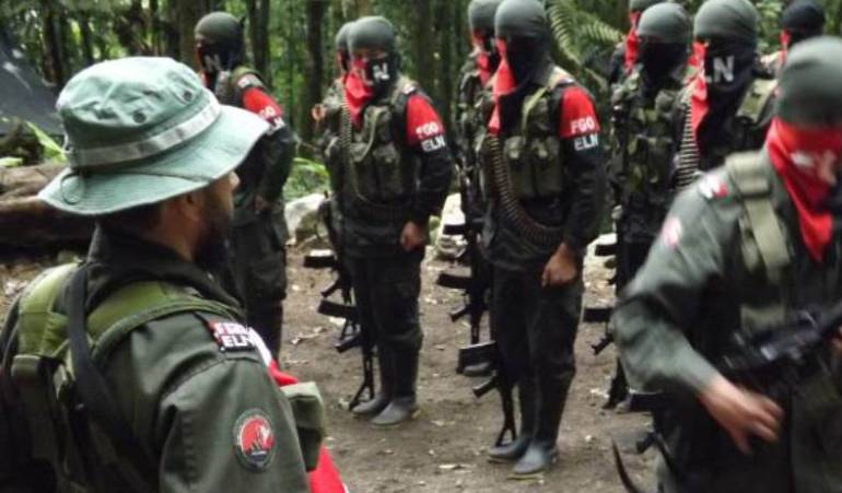 Imagen de referencia.