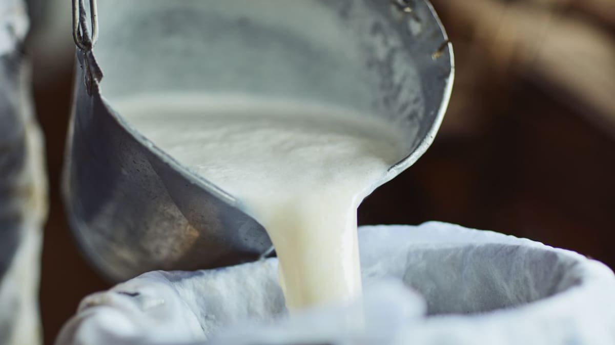Al menos 2.400 litros de leche desperdiciados por cierre en vía al Cusiana