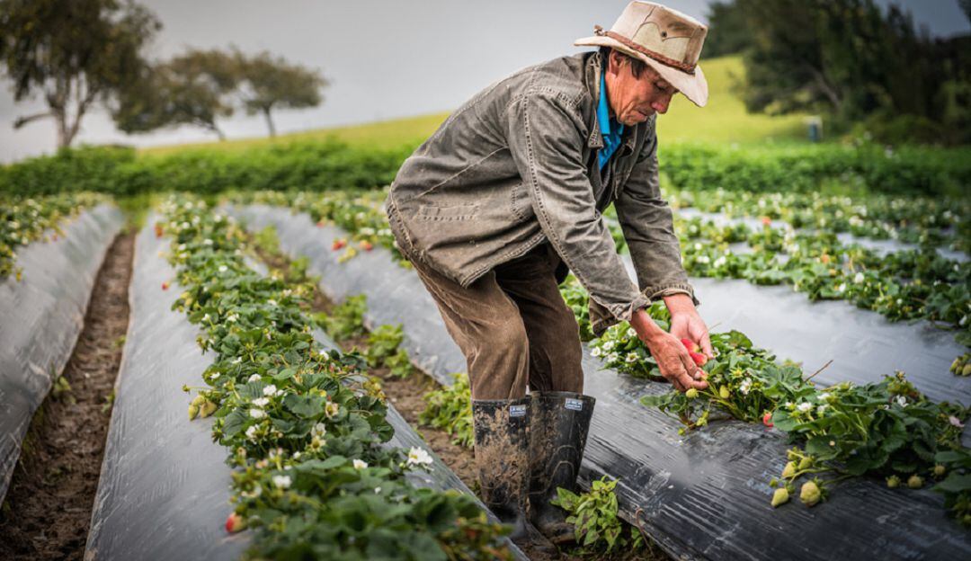 Cuidados del agro en épocas de lluvias