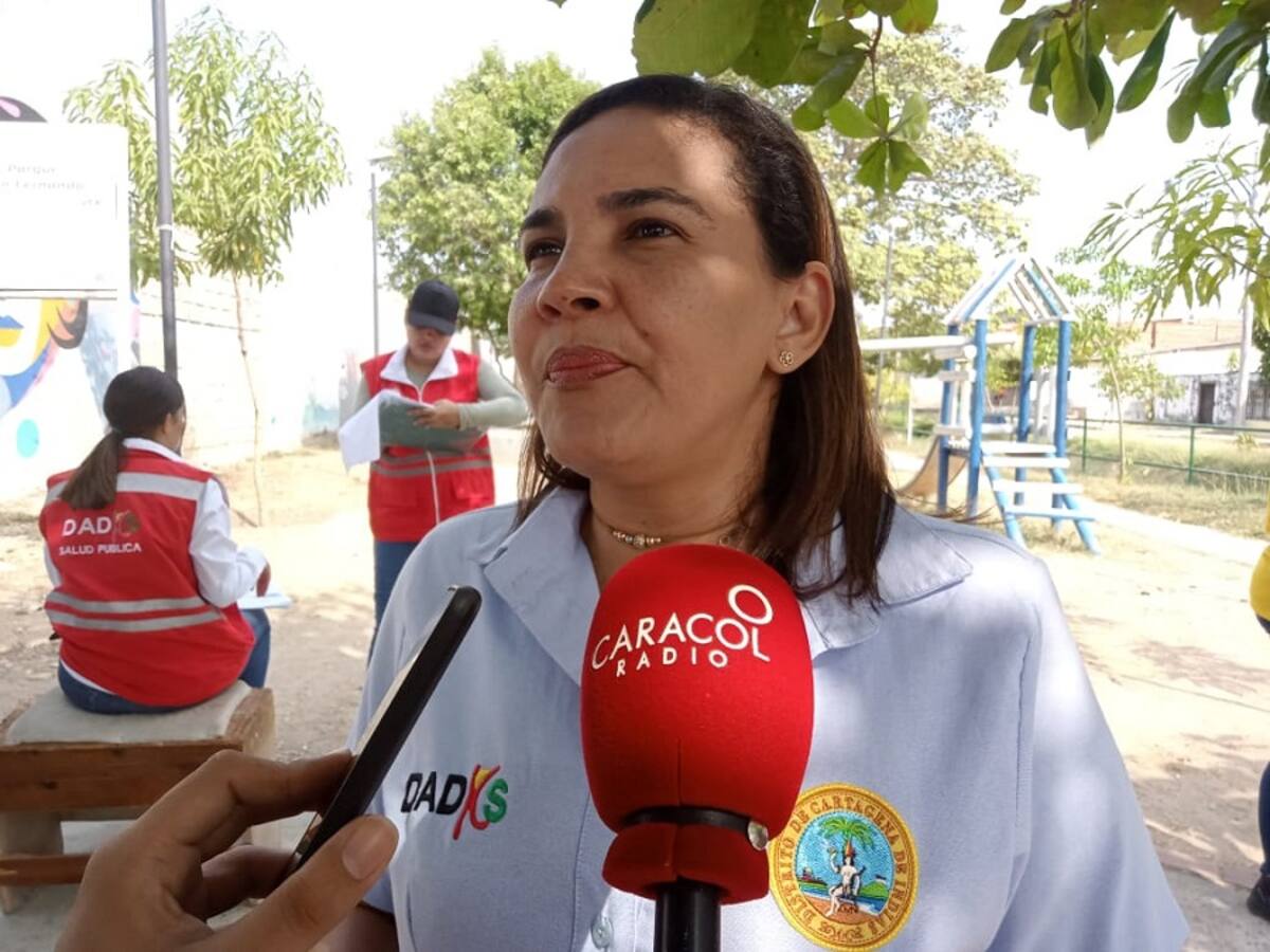 Cartagena registra cerca de 1.000 casos de dengue este año