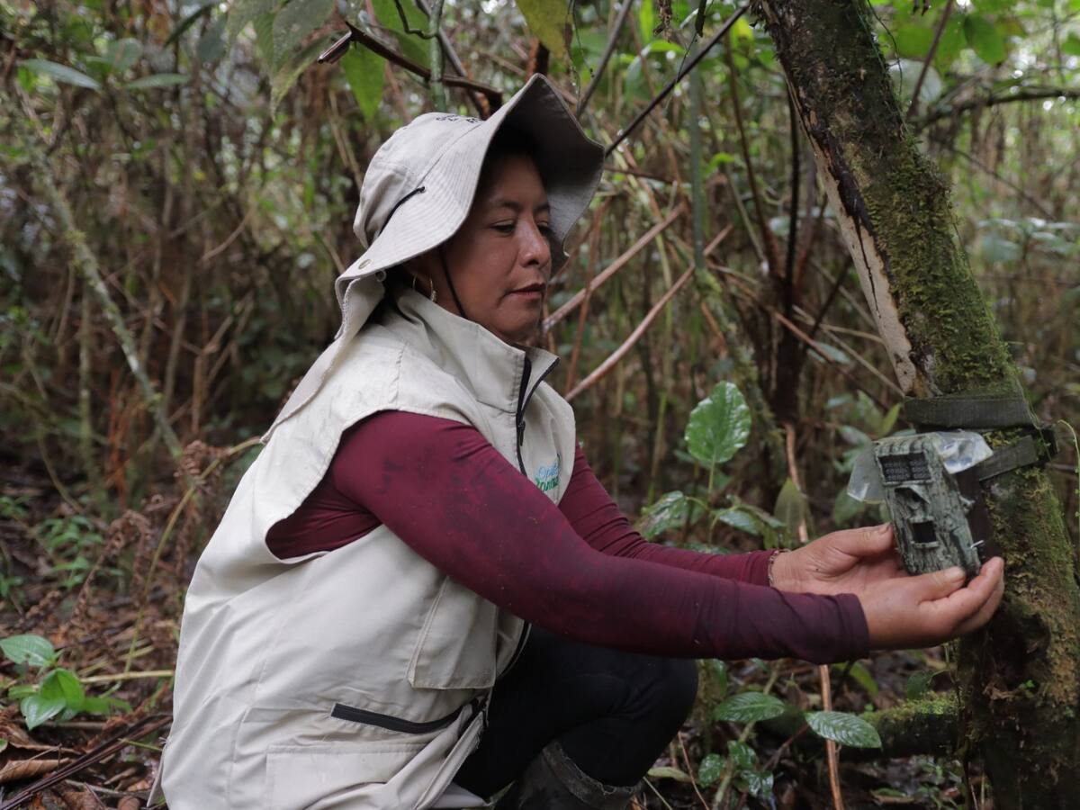 Más de 24 mil especies se han logrado registrar en el Huila, gracias al fototrampeo